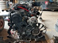 VW Passat 3BG 1.9 TDI AVF Motor Anbauteile Nordrhein-Westfalen - Spenge Vorschau