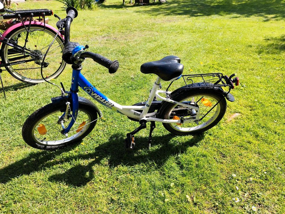 Kinder Fahrrad in Wusterwitz