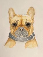 Ich male Ihr Wunsch-Hundeportrait / Französische Bulldogge Kiel - Elmschenhagen-Kroog Vorschau