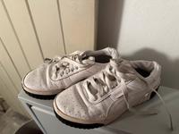 Sneaker puma 39 Bielefeld - Brackwede Vorschau