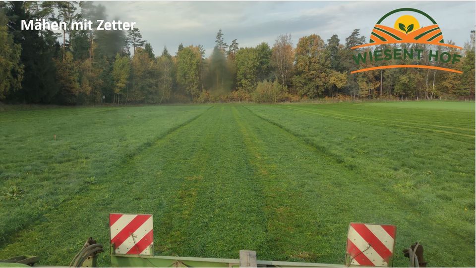 Dienstleistung Mäharbeiten / Mähen von Silage, GPS, Heu in Eschenbach