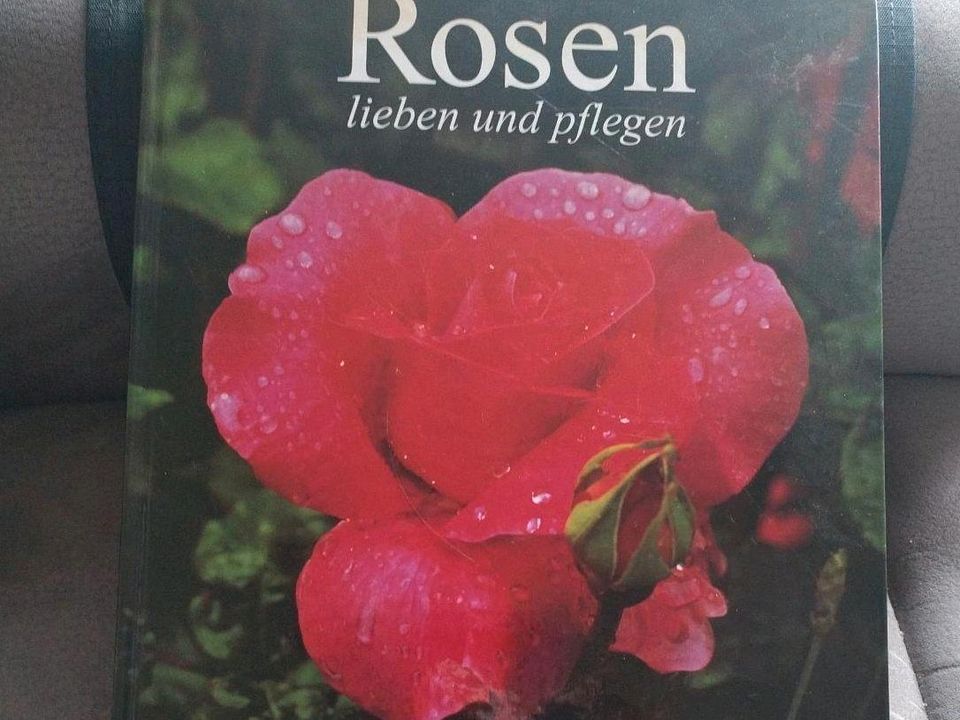 Rosen lieben und pflegen   v H Steinhauer  Bassermann VLG gebund. in Homburg