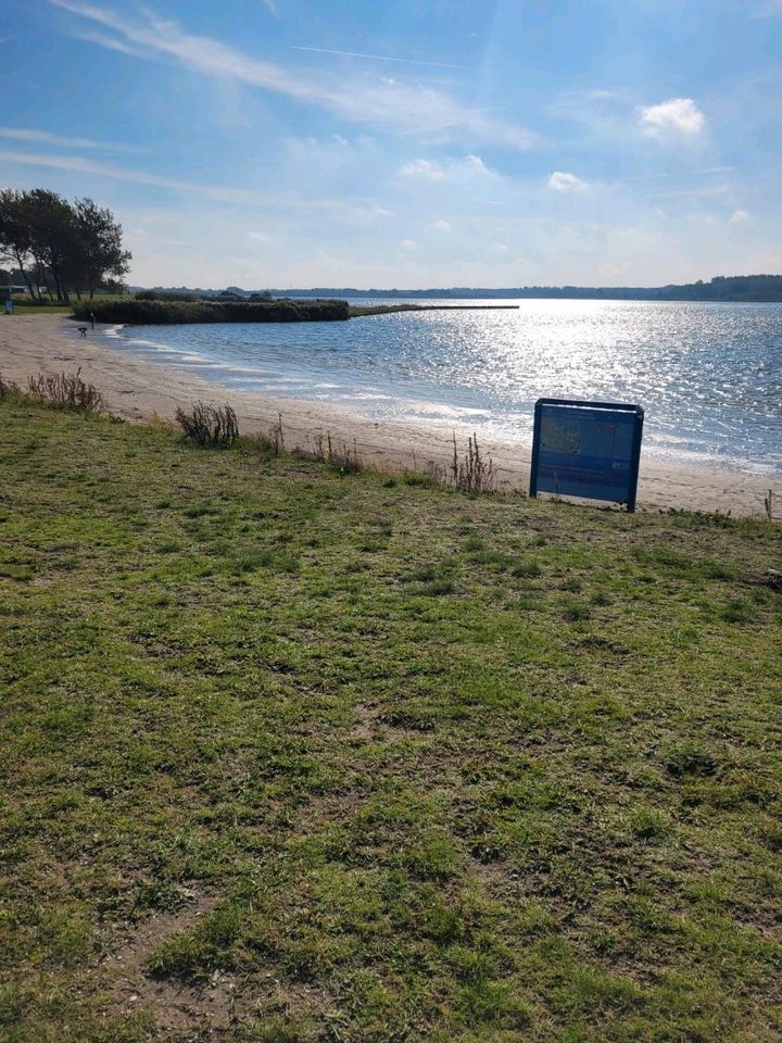 Chalet für 6 Personen in Lauwersoog in Arnsberg