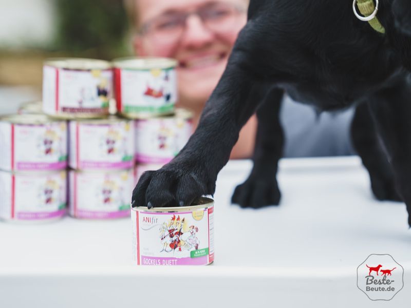 ANIfit Hundefutter - Fressnapf gefüllt mit Besten ANIfit Futter in Eggenfelden