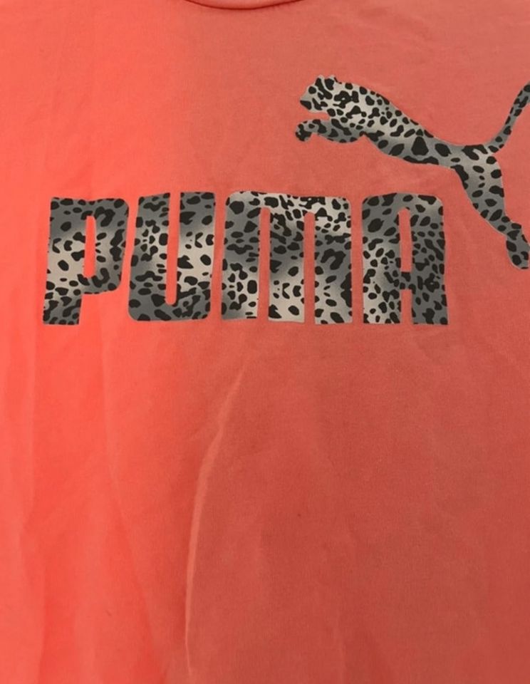 Puma TShirt Damen Gr.S/36 in Sinzheim