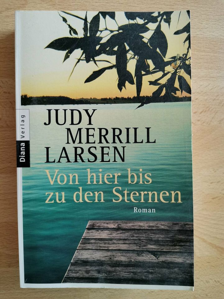 Judy Merrill Larsen, Von hier bis zu den Sternen, Roman in Flörsbachtal
