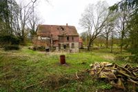 Grundstück im Grünen bei Horn Bad Meinberg Nordrhein-Westfalen - Horn-Bad Meinberg Vorschau