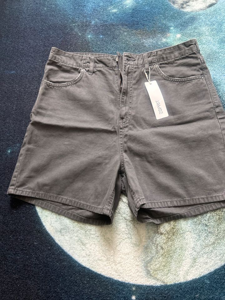 Esprit Shorts in Molfsee