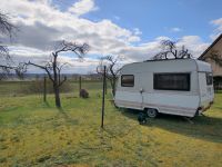 Wohnwagen Dethleffs Camper 1993 - modernisiert - 900kg Brandenburg - Bad Freienwalde Vorschau