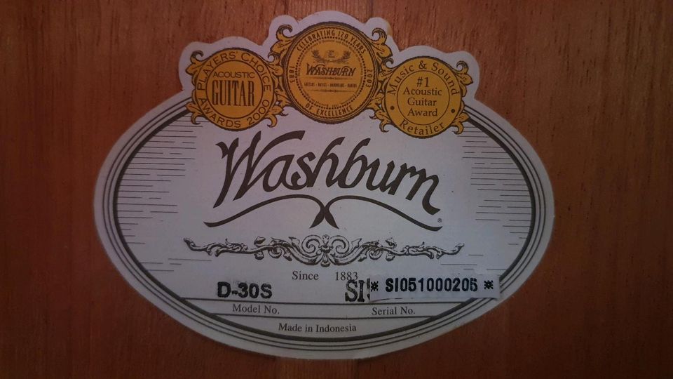 Washburn Akustik Gitarre D30S in Rees