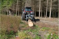 Rückezange, Zange, Holzzange, Verladezange, Holzgreifer, Greifer Baden-Württemberg - Buchen (Odenwald) Vorschau