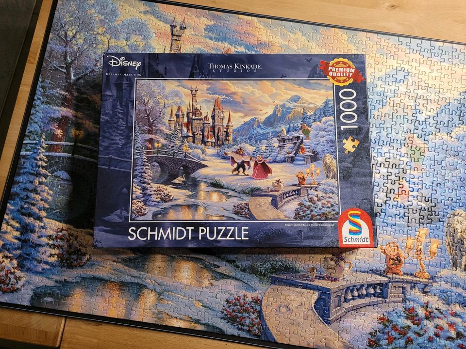Puzzle 1000 Teile Gesellschaftsspiele Familienspiele Spielzeug in Zeitz