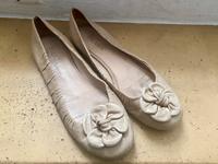 Prada Ballerina beige 39 Leder Blume München - Pasing-Obermenzing Vorschau
