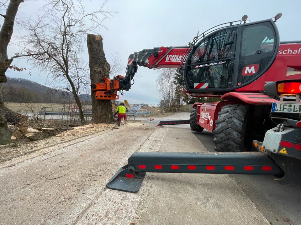 Holztransport Baumfällung Holzvermarktung Holzeinschlag in Altenkunstadt