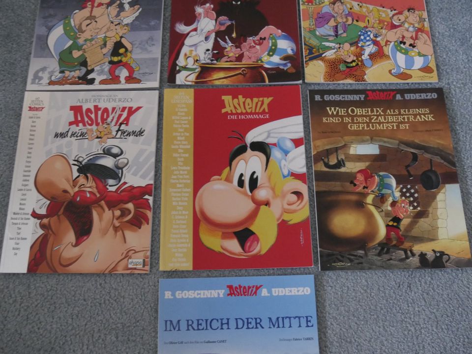 Asterix Sammlung Comic Soft Cover 1 -40 ,+ 8 Sonderhefte 1 Poster in Schleswig