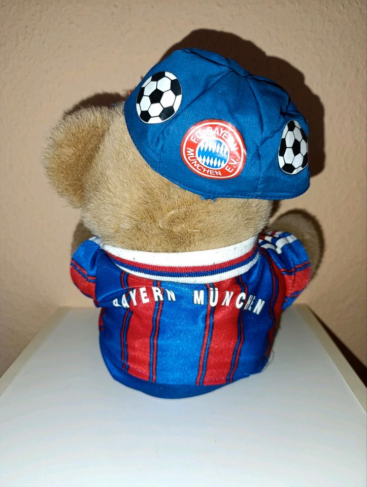 Teddy Teddybär Bayern München in Südermarsch