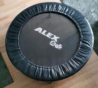 Trampolin ALEX outdoor / indoor, 96 cm Durchmesser Hessen - Hochheim am Main Vorschau