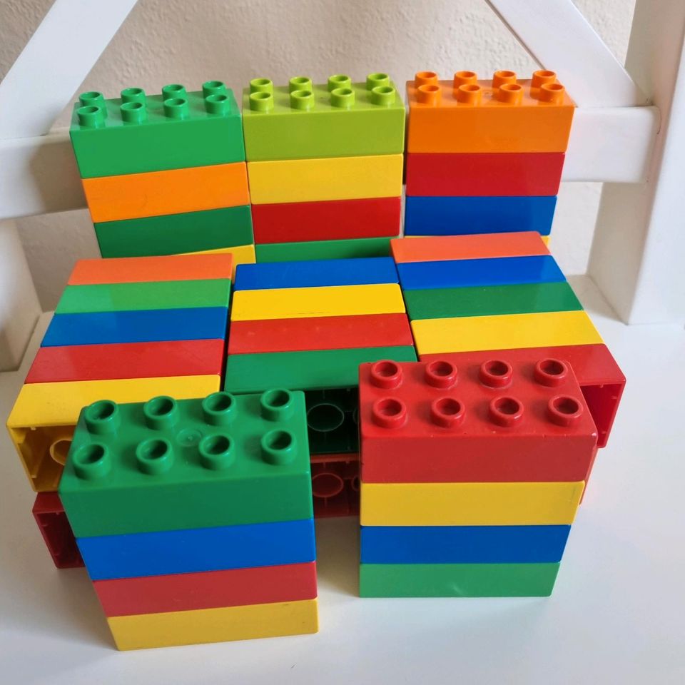 Lego duplo Vorsortierte Steine in Reinbek