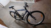 Jugendfarrad 19,5'' Fahrrad Giant Berlin - Reinickendorf Vorschau