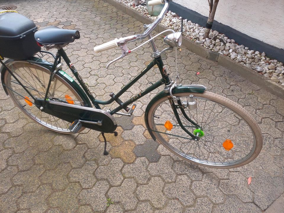 Klappfahrrad 28zoll für große in Büttelborn