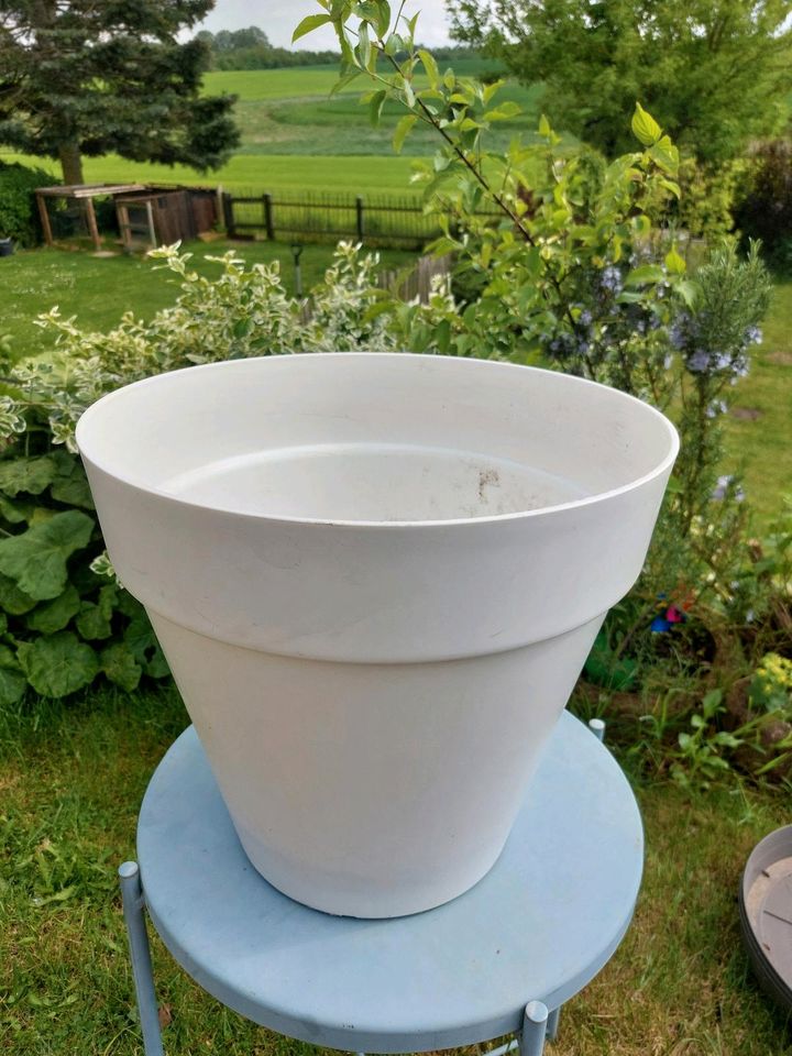 2 Elho Blumentöpfe/Pflanztöpfe 40cm mit Wasserspeicher in weiß in Kritzmow