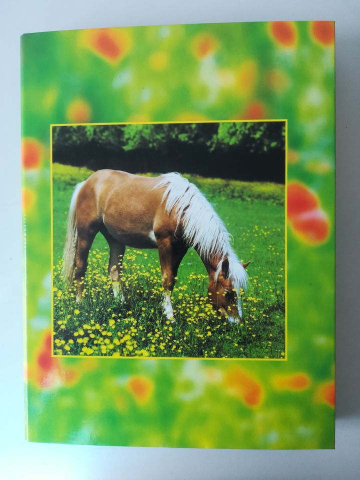 Heftbox A4 mit Pferdemotiv Pappbox für Hefte in Bockhorn