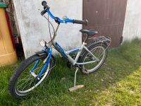 Puky 20 Zoll Fahrrad Kinderfahrrad Hessen - Pfungstadt Vorschau