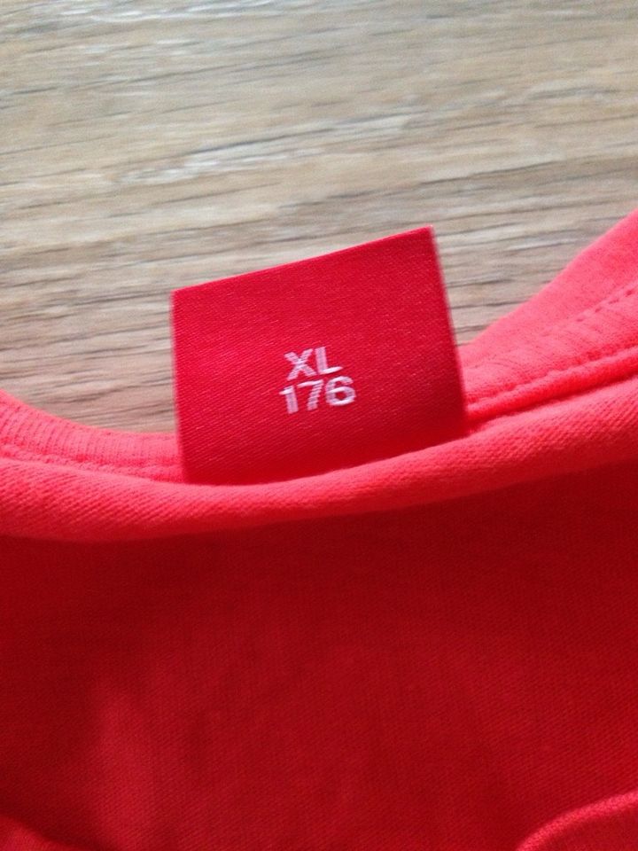 Langarmshirt s. Oliver Größe 164 NEU in Lohr (Main)