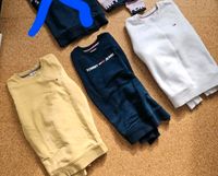 Tommy Hilfiger Damen Sweatshirt M Nordrhein-Westfalen - Schermbeck Vorschau