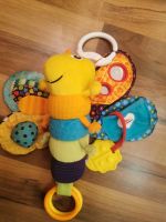 Lamaze Freddie Glühwürmchen Babyspielzeug Greifling Bayern - Berg bei Neumarkt i.d.Opf. Vorschau