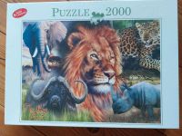 Puzzle The big Five"  2000 Teile NEU Rheinland-Pfalz - Breitenau bei Westerwald Vorschau