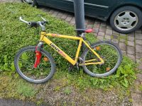 Fahrrad mountainbike mtb Nordrhein-Westfalen - Brilon Vorschau