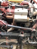 Iveco 120 PS Turbo Diesel Motor mit 3,9l Hubraum , Robur Umbau Brandenburg - Werben (Spreewald) Vorschau