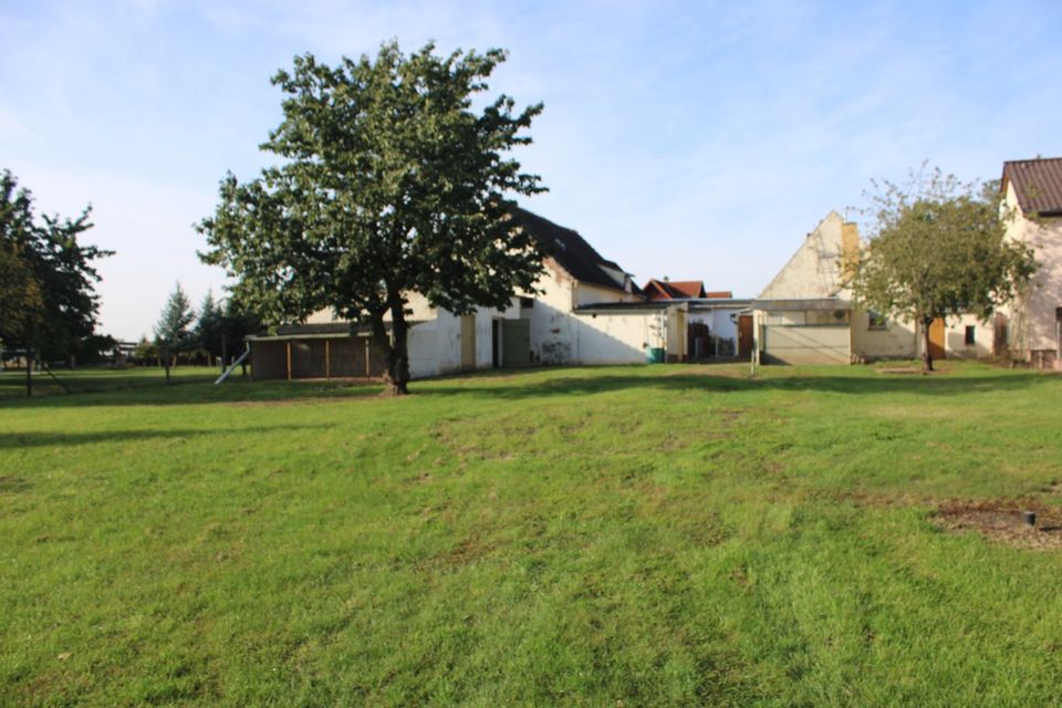 Reserviert! Einfamilienhaus mit großer Grünfläche für Tierliebhaber, Selbstversorger und Individualisten  auf dem Land in Nichtewitz in Arzberg