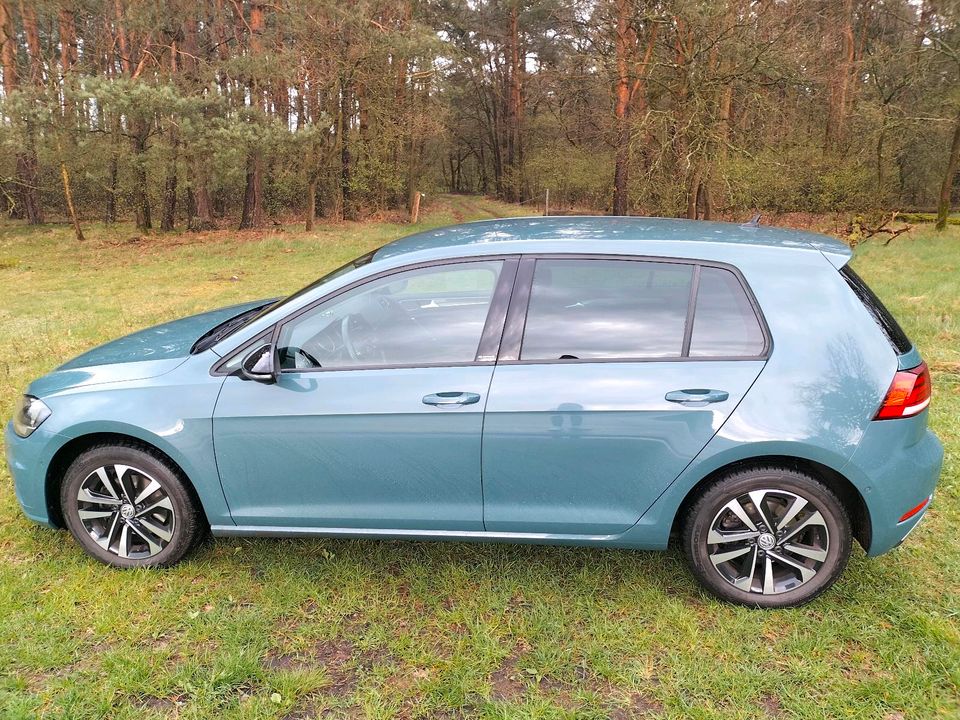 Golf VII IQ Drive, 150 PS in Hövelhof