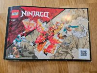 Lego Ninjago 71762 Kais Feuerdrache Rheinland-Pfalz - Mainz Vorschau