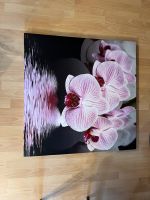 Orchideen Bild Bayern - Langenzenn Vorschau