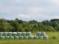 Silageballen Gras Erntejahr 2023 Bayern - Gangkofen Vorschau