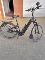 E bike Zemo ZE 5F sc Rh53cm Wave 5N Niedersachsen - Drebber Vorschau