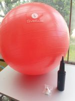 2 Stück Gymnastikball Fitnessball Sportball 65cm + Pumpe Baden-Württemberg - Öhningen Vorschau