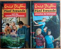 Fünf Freunde von Enid Blyton Schleswig-Holstein - Sülfeld Vorschau