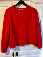 Pulli Review XS Baden-Württemberg - Bretten Vorschau