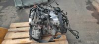 Motor BKY 1,4L  55KW 75PS VW Polo Seat Ibiza Skoda Komplett 143TK Bayern - Kleinrinderfeld Vorschau