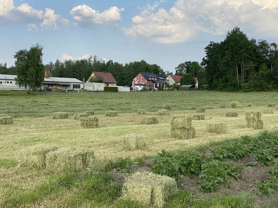 Heu, Heuballen, HD-Ballen, Klein Ballen in Wittichenau