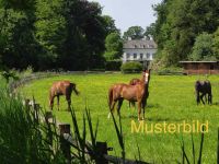 SECRET SALE - Pferdeimmobilie im Ranch-Style mit vielfältigen Nutzungsmöglichkeiten Bielefeld - Bielefeld (Innenstadt) Vorschau