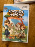 Nintendo Wii Spiel Harvest Moon Rheinland-Pfalz - Plaidt Vorschau