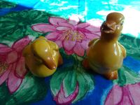Enten Keramik-Enten gelb 2 Stück Dithmarschen - Heide Vorschau