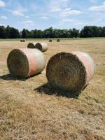 Heu Rundballen 120cm Pferdeheu Sachsen - Malschwitz Vorschau