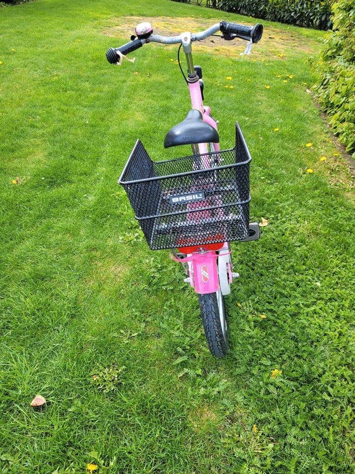 Puky Fahrrad Lillifee 18 zoll in Emlichheim