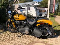 Harley Davidson street bob Rheinland-Pfalz - Remagen Vorschau